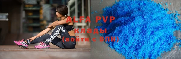 a pvp Бородино