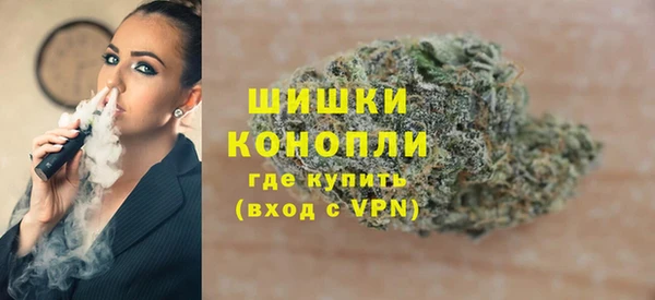 шишки Верхний Тагил