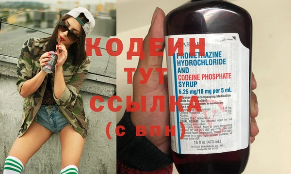 шишки Верхний Тагил