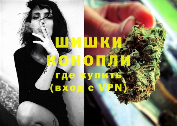шишки Верхний Тагил