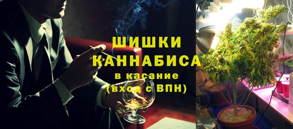 шишки Верхний Тагил
