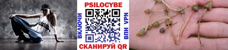 Галлюциногенные грибы мухоморы  блэк спрут зеркало  Новосокольники 
